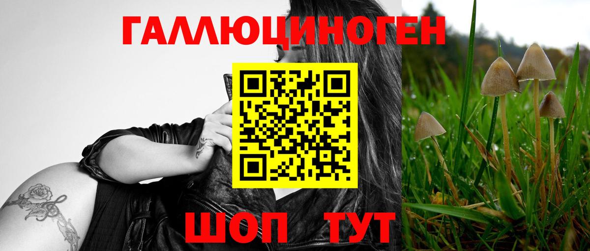 Галлюциногенные грибы ЛСД  Вход с VPN  Псилоцибиновые грибы мицелий  Хасавюрт 
