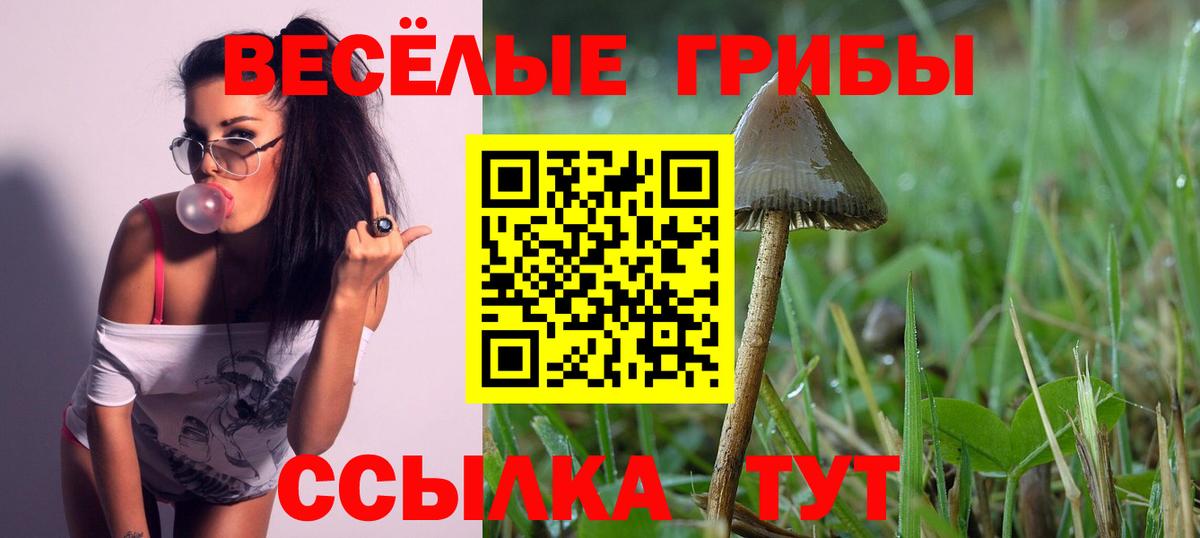 Галлюциногенные грибы мицелий Хасавюрт